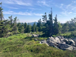 Rando & Bien Etre dans les Hautes Vosges