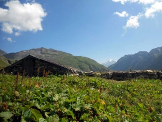 Tour du Mont Blanc Complet
