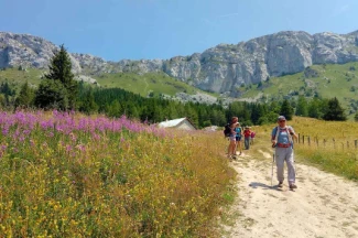 Week-end Escapade Estivale Vercors