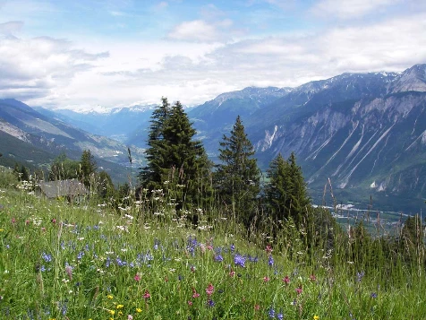 Les Bisses du Valais - Photo 12