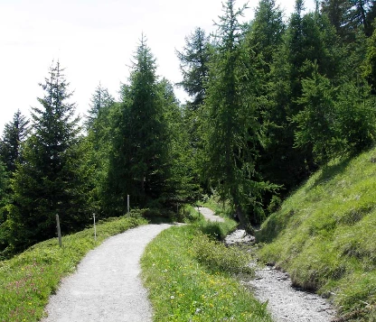 Les Bisses du Valais - Photo 11