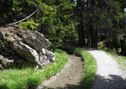 Les Bisses du Valais - Photo 10