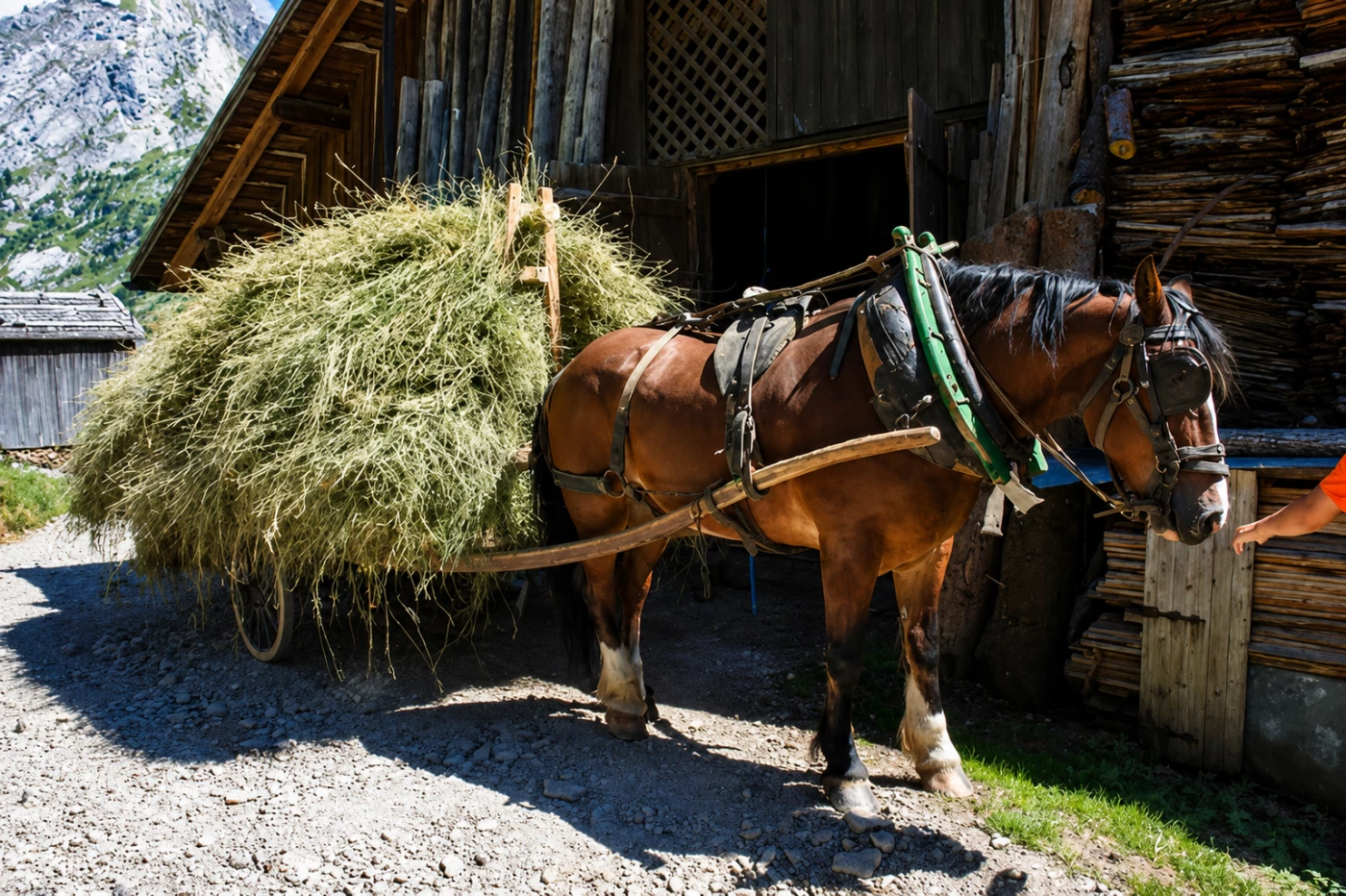 Traversée des Alpages des Aravis - Photo 1