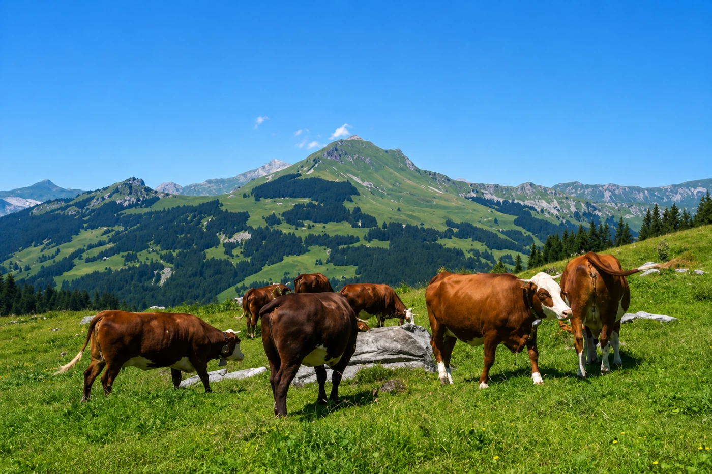Traversée des Alpages des Aravis - Photo 10
