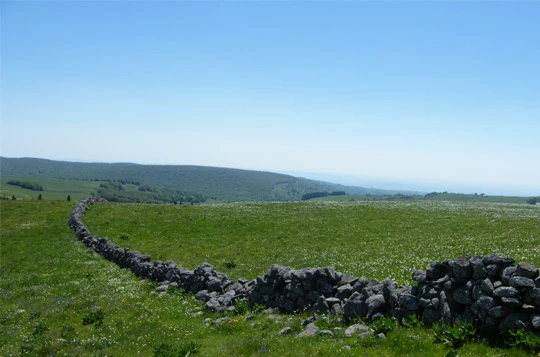 Tour de l'Aubrac en liberté - Photo 3