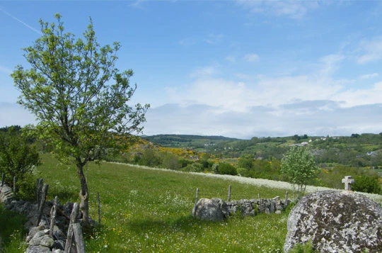 Tour de l'Aubrac en liberté - Photo 6
