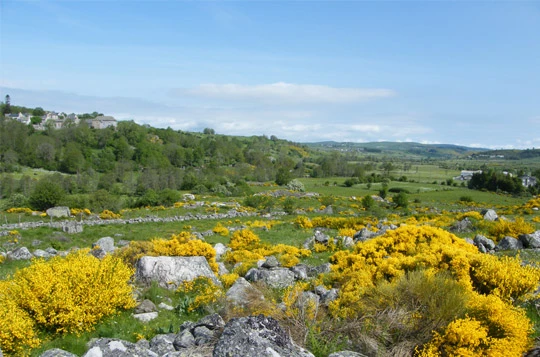 Tour de l'Aubrac en liberté - Photo 7