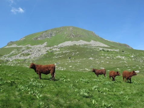 Tour des Volcans d'Auvergne - Photo 9
