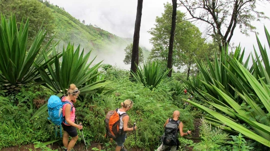 Au coeur de Santo Antao - Photo 12