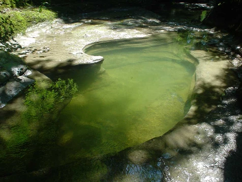Multi activités dans le Haut Jura - Photo 8