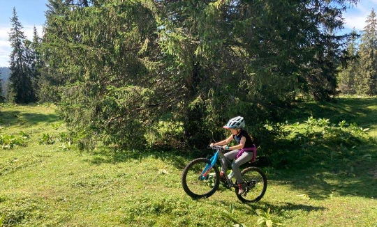 Multi activités dans le Haut Jura - Photo 5