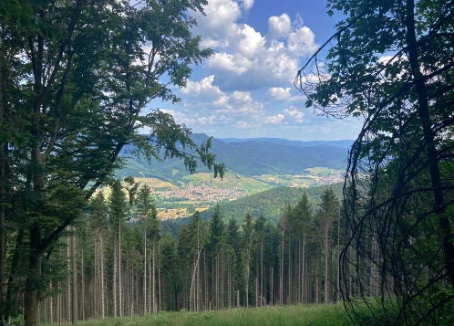 Traversée des Hautes Vosges - Photo 10