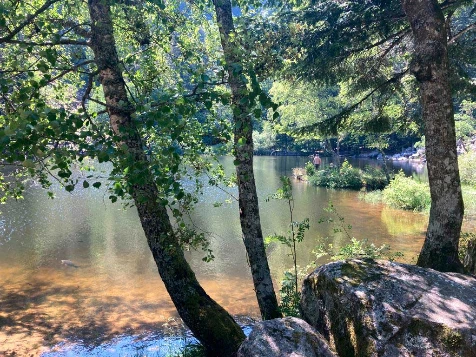 Traversée des Hautes Vosges - Photo 7