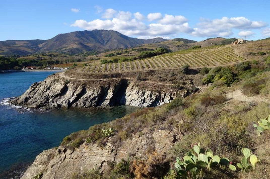 Rando & bien-être Banyuls - Photo 5