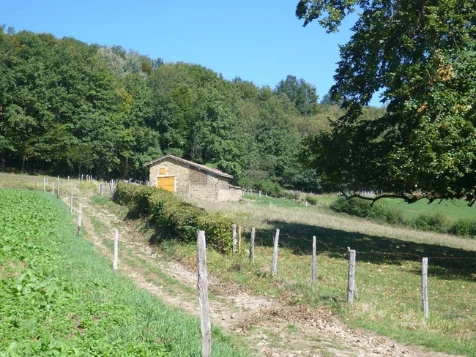 Chemins de Compostelle : Lyon - Montbrison - Photo 4