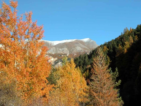 Couleurs d'automne en Queyras - Photo 9