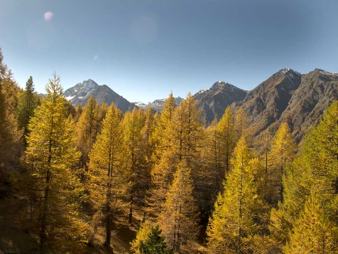 Couleurs d'automne en Queyras - Photo 1