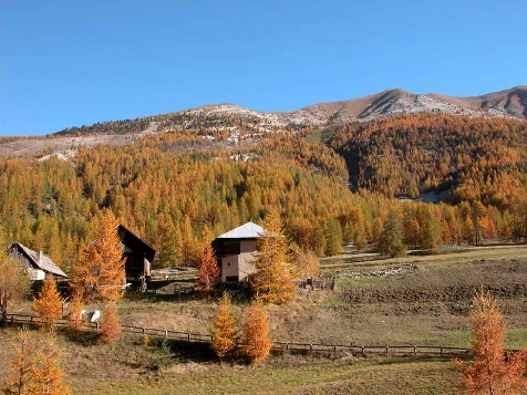 Couleurs d'automne en Queyras - Photo 7
