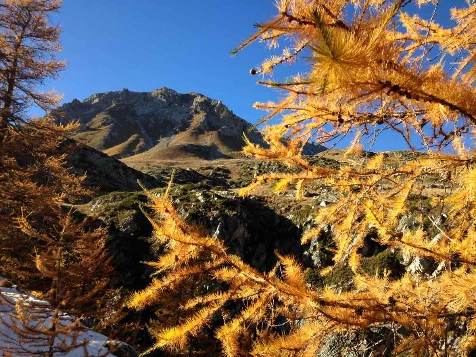 Couleurs d'automne en Queyras - Photo 5