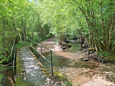 Chemins de Compostelle : Autun - Cluny - Photo 8