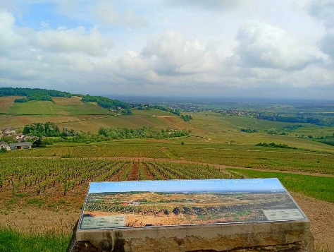 Chemins de Compostelle : Autun - Cluny - Photo 11