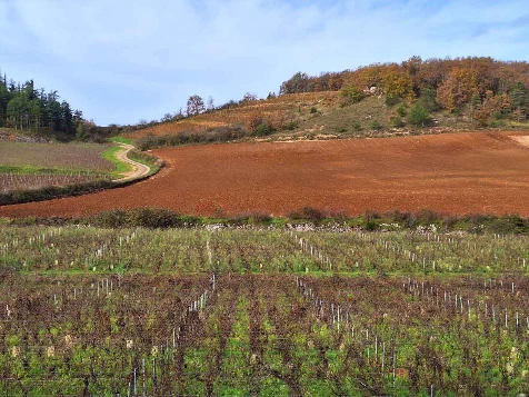 Chemins de Compostelle : Autun - Cluny - Photo 12