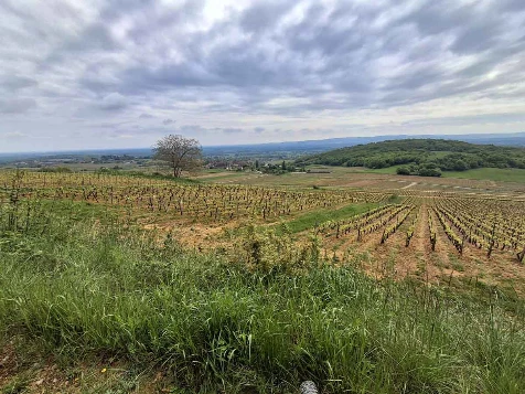 Chemins de Compostelle : Beaune - Cluny - Photo 8
