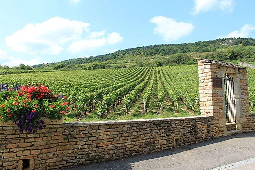 Chemins de Compostelle : Beaune - Cluny - Photo 9
