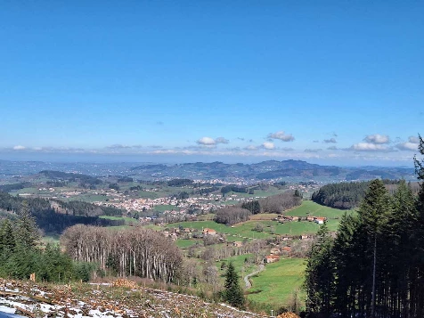 Chemins de Compostelle : Cluny - Charlieu - Photo 4