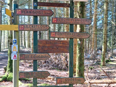 Chemins de Compostelle : Cluny - Charlieu - Photo 5