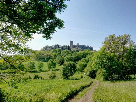 Chemins de Compostelle : Montbrison - Le Puy (Voie de Cluny) - Photo 5
