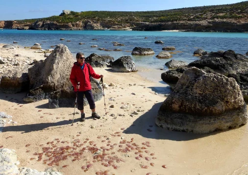 Malte, Gozo & Camino - Photo 5