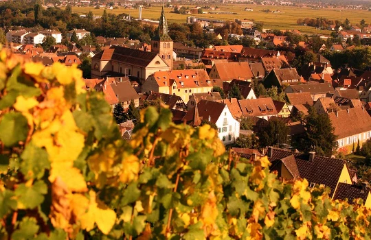Alsace en liberté - Photo 10