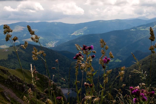 Traversée des Hautes Vosges en liberté - Photo 7