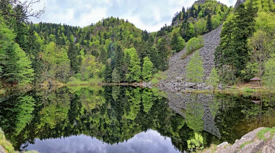 Traversée des Hautes Vosges en liberté - Photo 5