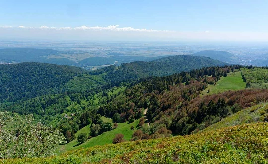 Tour des Hautes Vosges en liberté - Photo 1