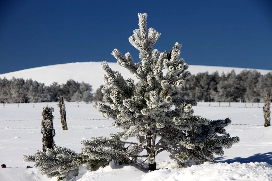 Week-End Auvergne - Photo 5