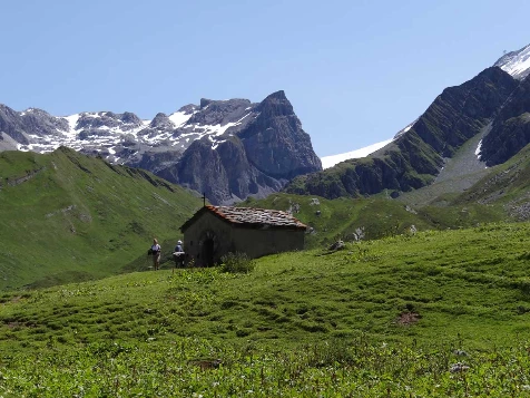 Grand Paradis en liberté - Photo 12