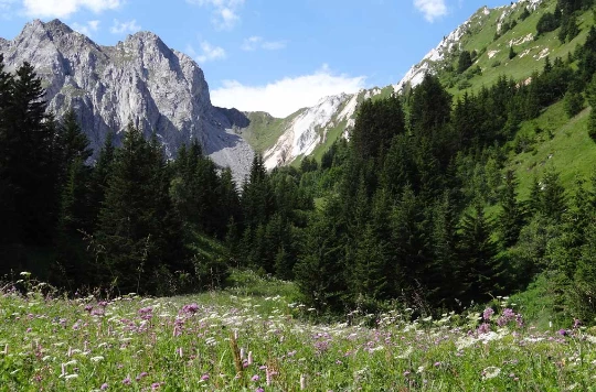 Grand Paradis en liberté - Photo 10