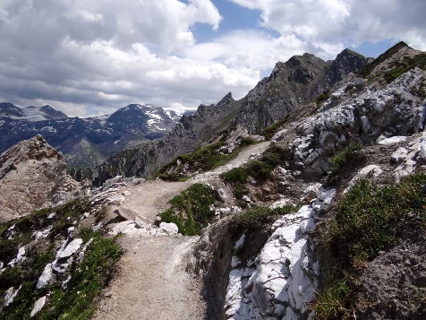 Grand Paradis en liberté - Photo 9