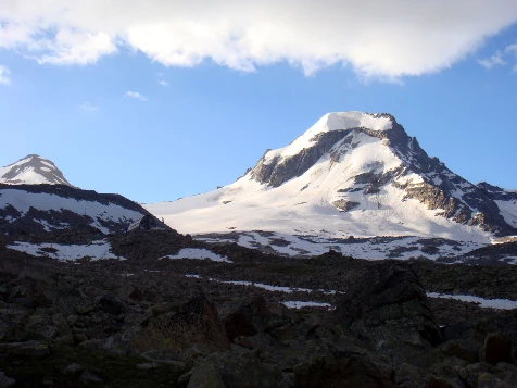 Grand Paradis en liberté - Photo 8
