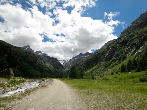Grand Paradis en liberté - Photo 4