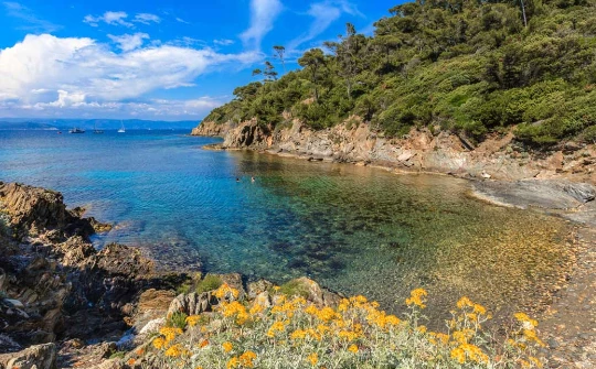 Hyères, et les Iles d'Or en étoile en liberté - Photo 5