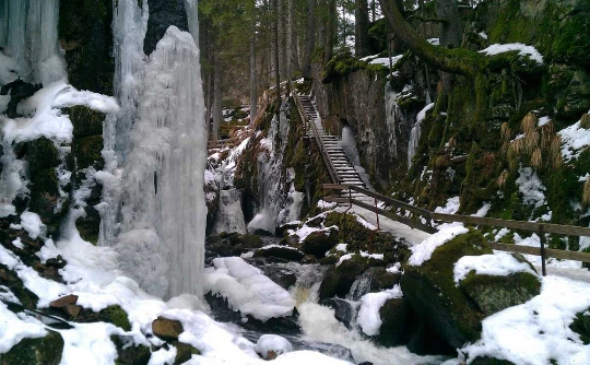 Traversée de la Haute Forêt Noire - Photo 6