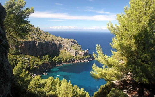 Les baleares : Majorque en liberté - Photo 11