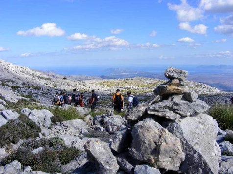 Les baleares : Majorque en liberté - Photo 9