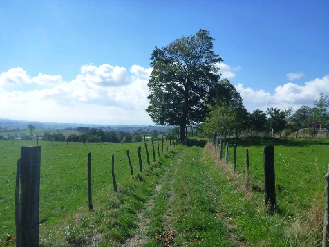 Chemins de Compostelle : Lyon - Le Puy en Velay - Photo 4
