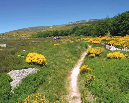 Du Larzac aux Gorges du Tarn - Photo 11