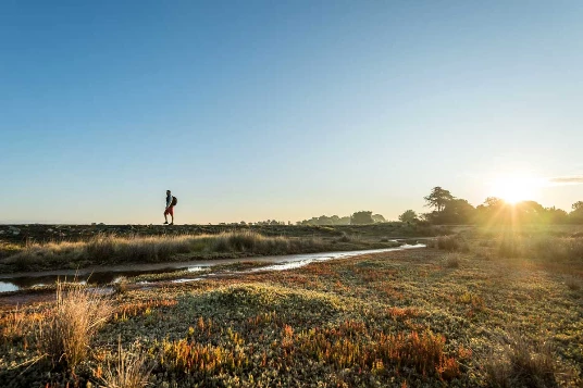 Golfe du Morbihan et ses îles - Photo 9