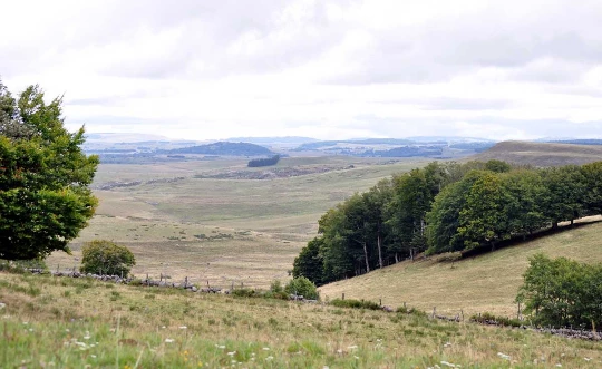 Aubrac : Les Grands Espaces en liberté - Photo 11